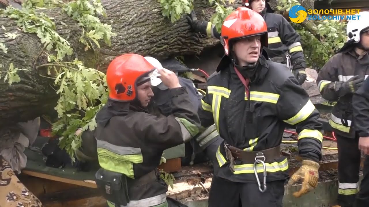 На Львівщині дерево смертельно травмувало молоду жінку