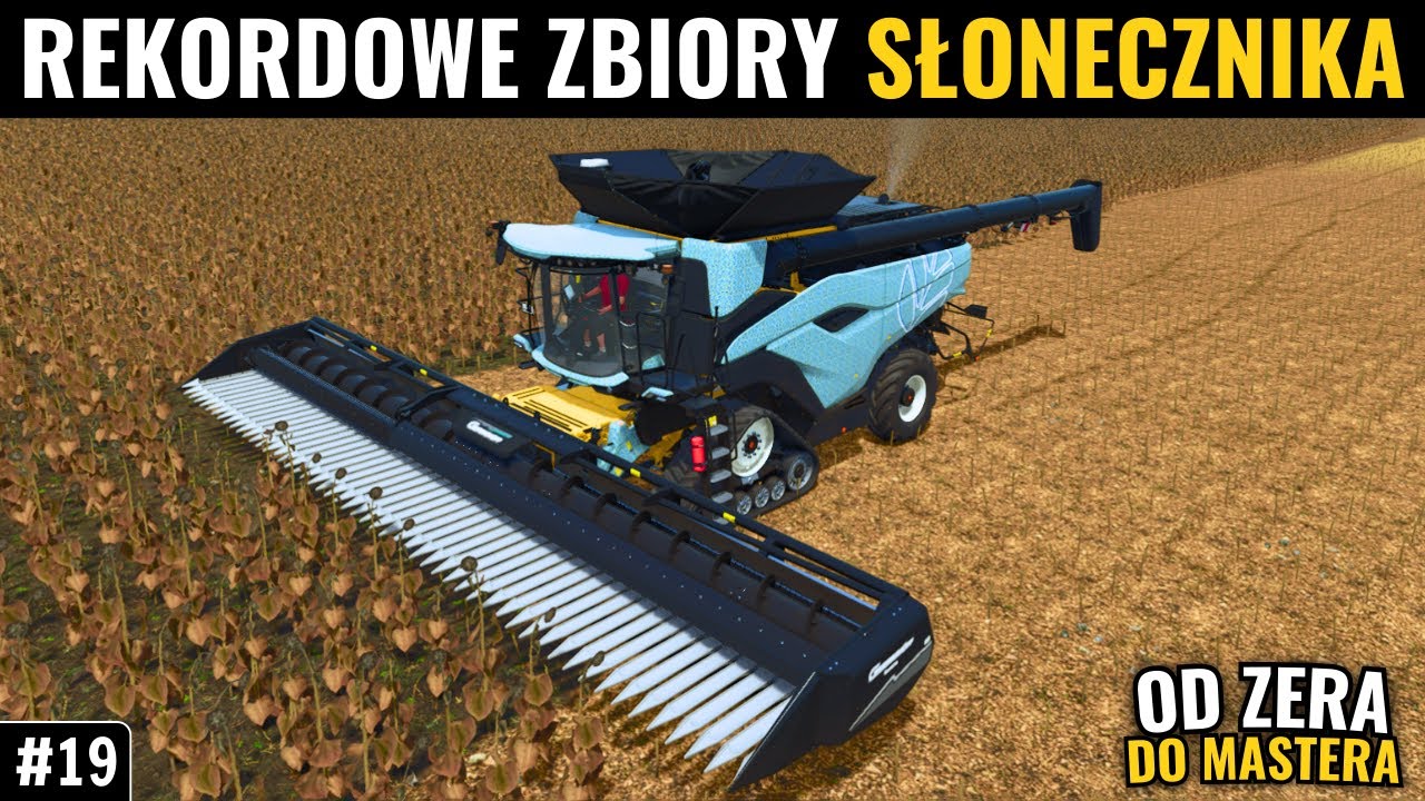 TO KONIEC 🔥 Rekordowe ŻNIWA słonecznika w FS25 🤑🔥 Od zera do mastera #19