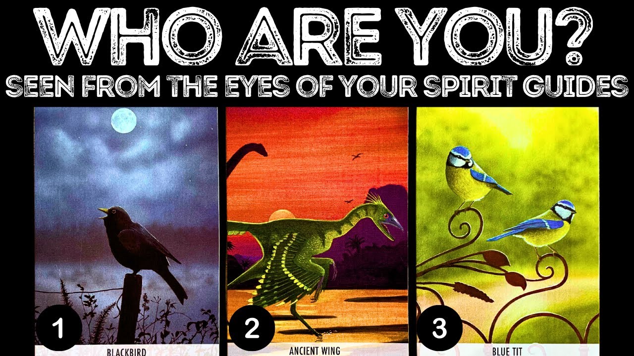 Who Are YOU? (Seen From The Eyes Of Your Spirit Guides!) ⭐️🔥⎮pick a card 🃏 tarot reading
