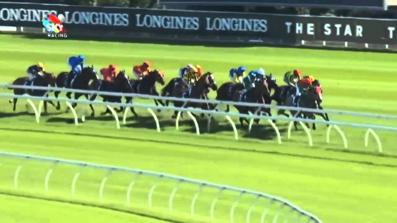 Hard Spun's Le Romain wins the G1 Randwick Guineas