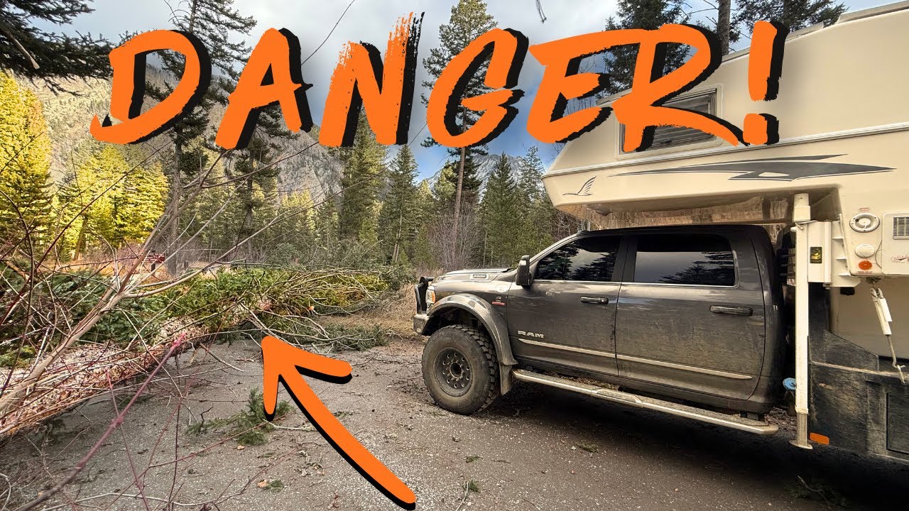 TIMBER!  SEVERE storm wrecked Montana camping areas.