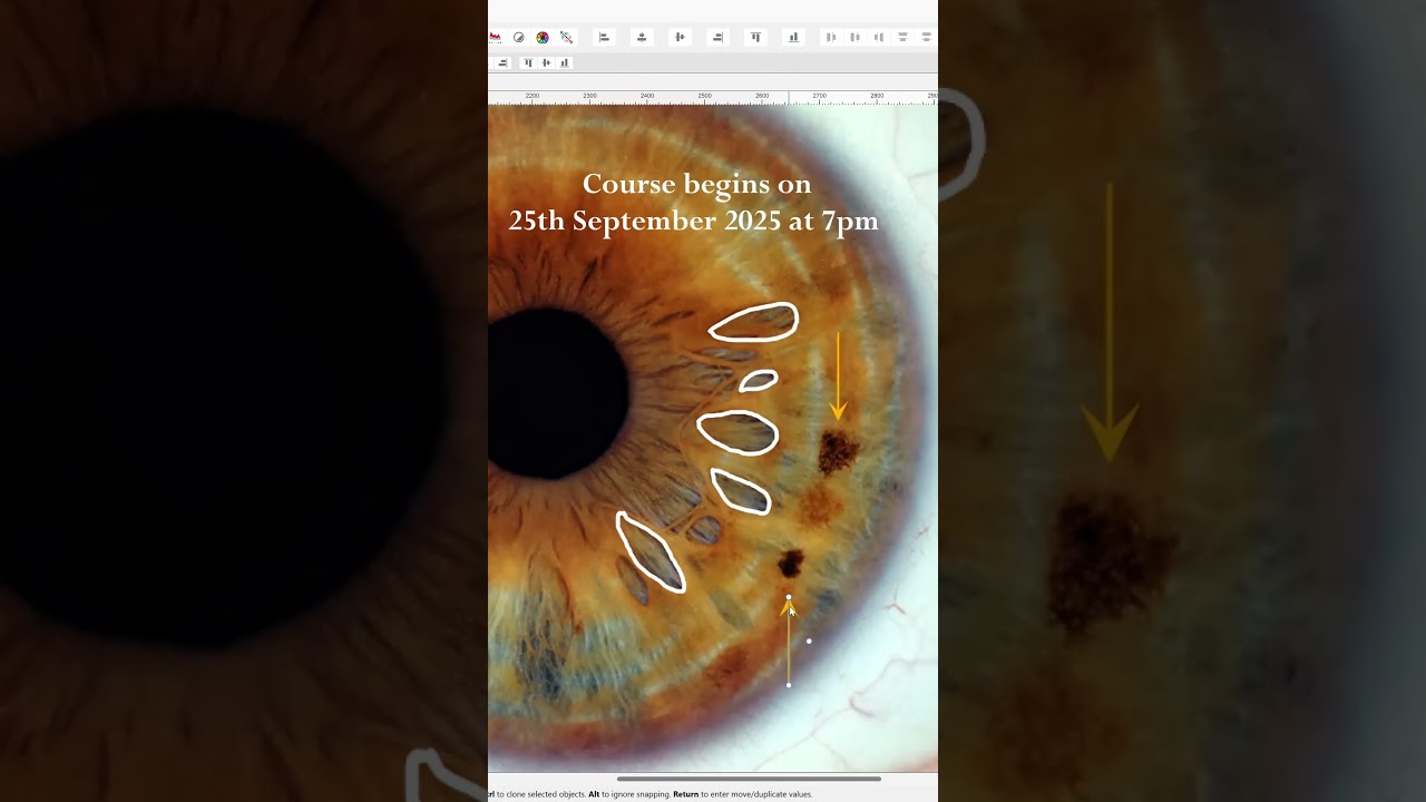 Behavioural Iridology Introductory Course: September 25th 2025