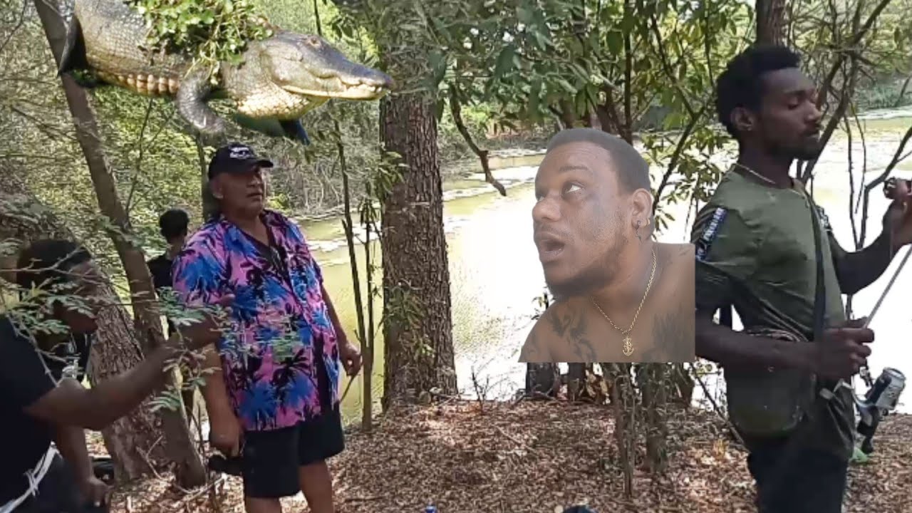 Water with crocodile big? And friends ‎⁨@jachineyboy