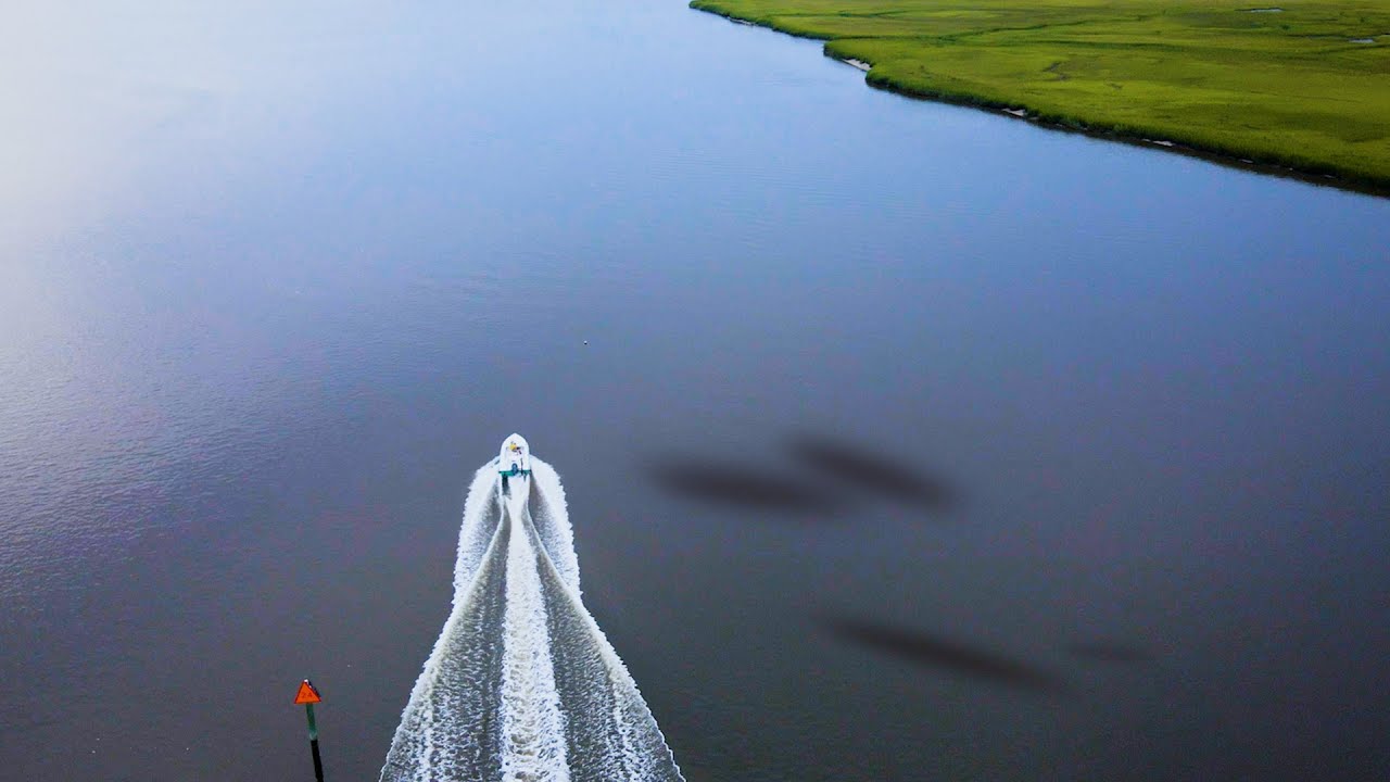 Moving to Charleston? Learn to Fish