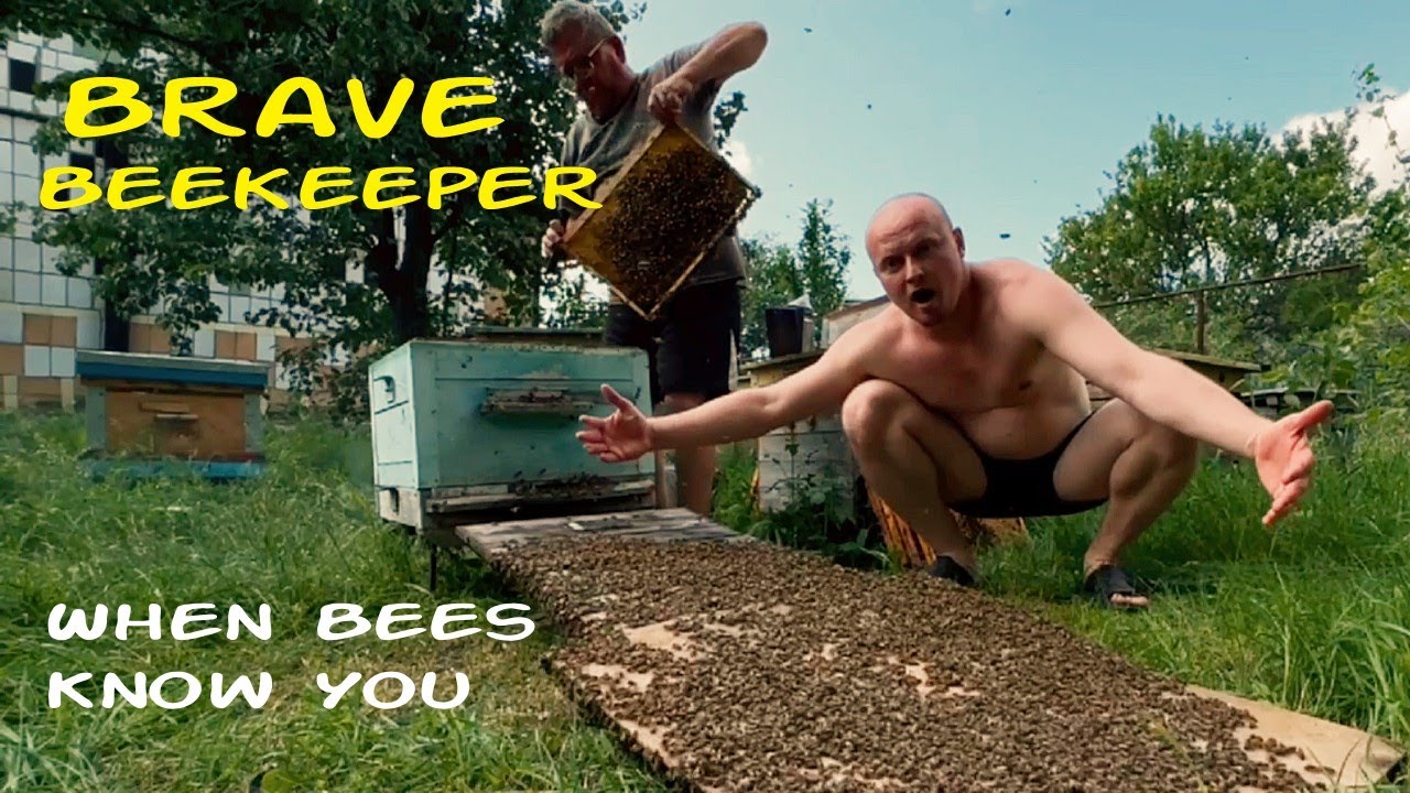 Trust Between Man and Bees. Harmony with the Hive