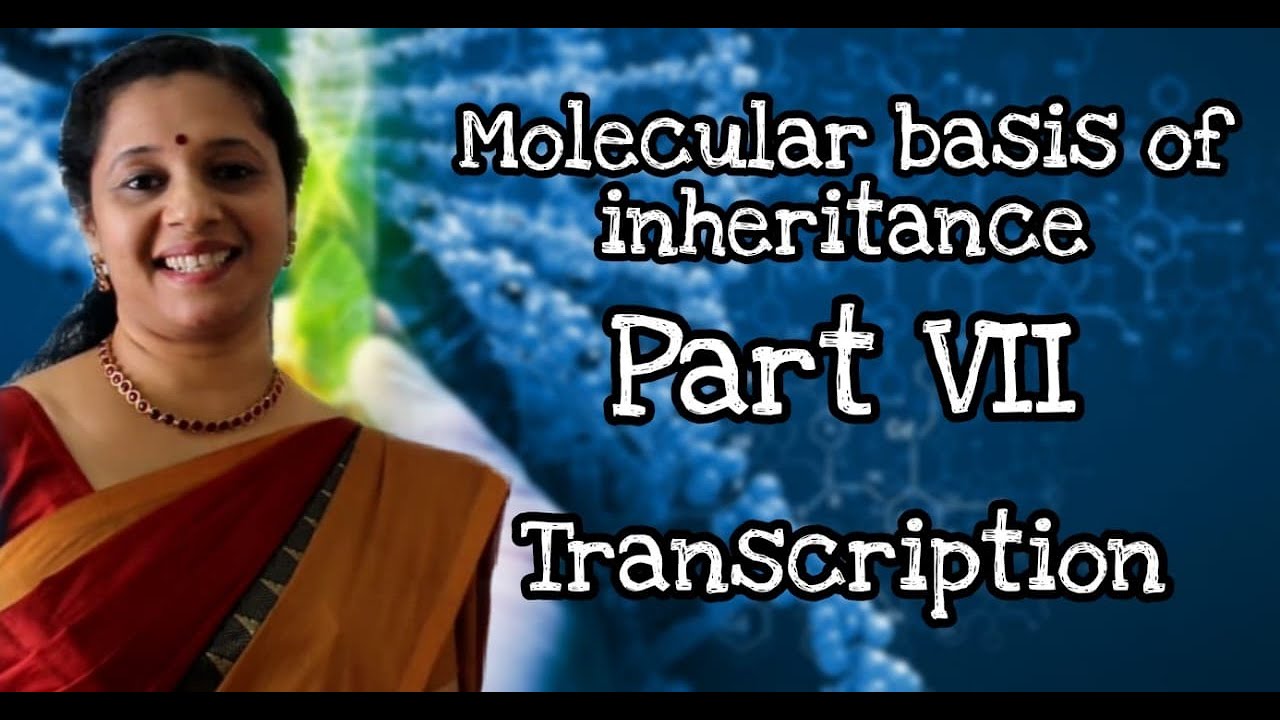 NEET : Molecular Basis of Inheritance: Part7 : Transcription