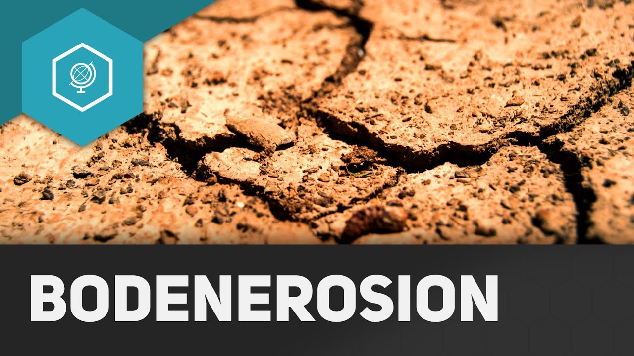 Bodenerosion - Bodendegradation 1