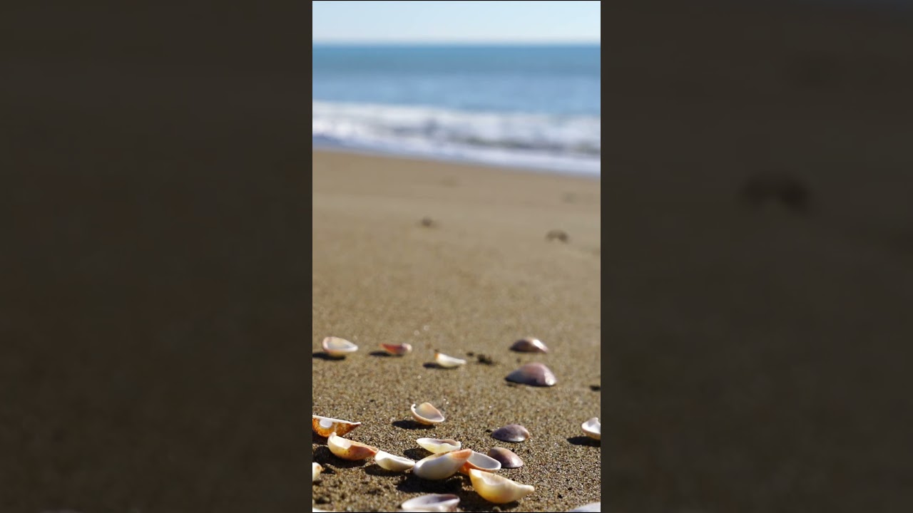 Gentle Sea Waves 🌊 Relaxing Ocean Sounds for Deep Sleep & Calm Mind