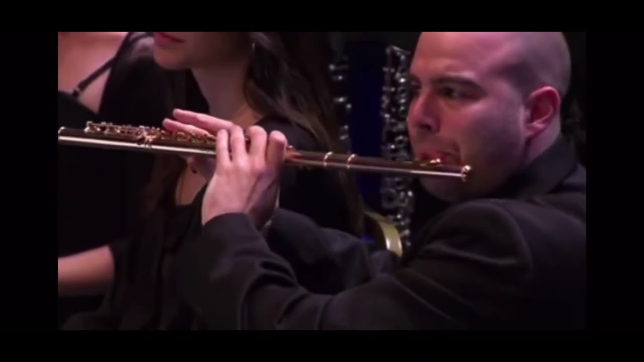 BIZET - Carmen (Intermezzo) - Flute Solo (Eshed)