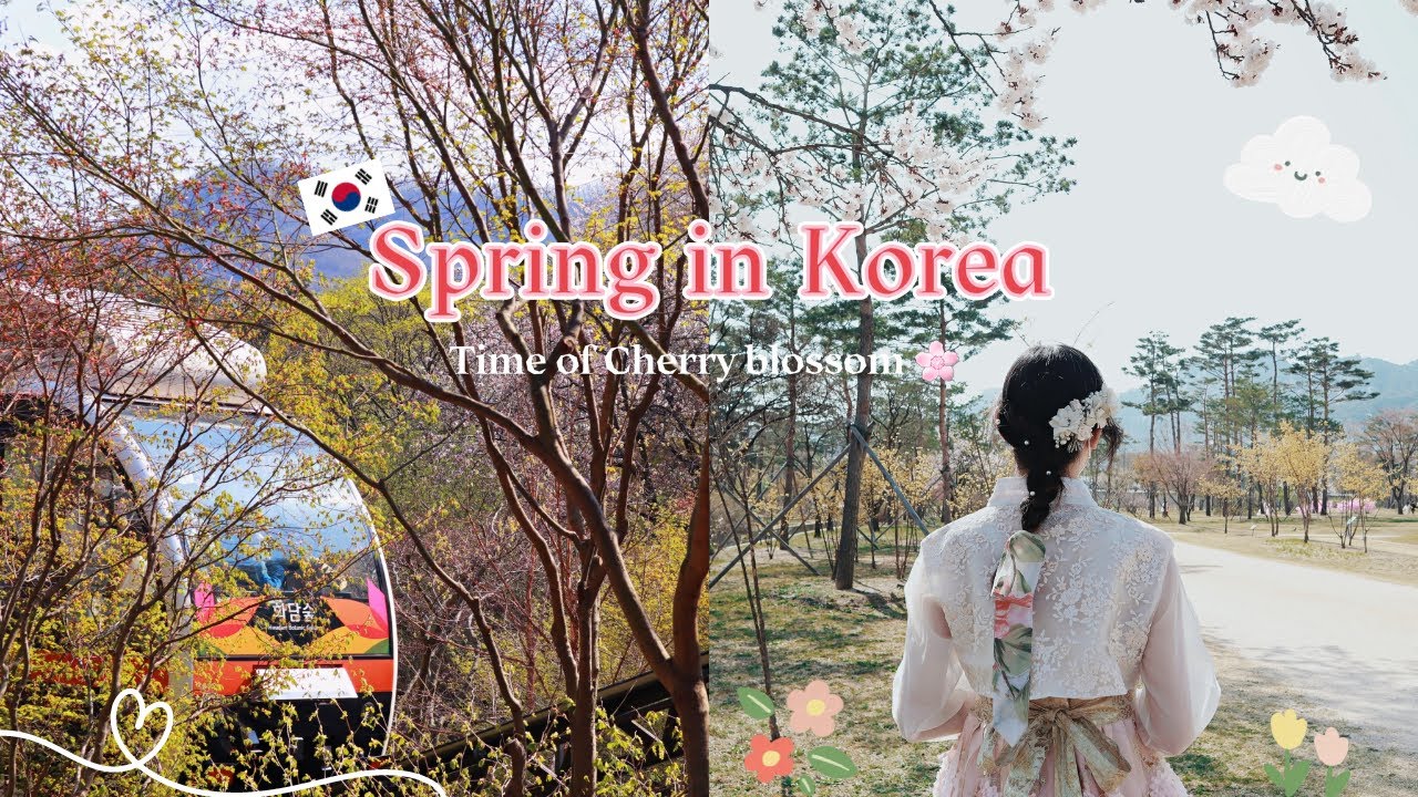【🇰🇷韓國Vlog】|Spring in Korea🌸|撘6小時車去賞櫻|韓國人都不知道的賞櫻勝地！|Summer森麻