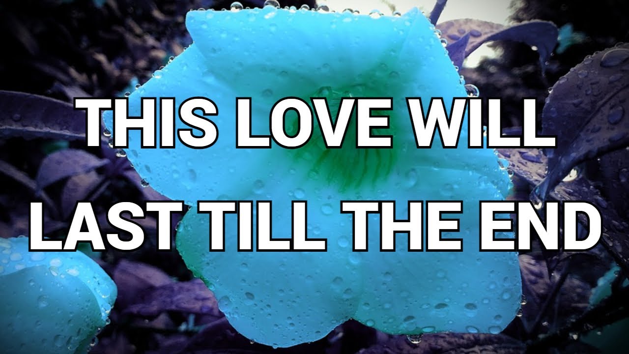 This love will last till the end....Pernia quotes