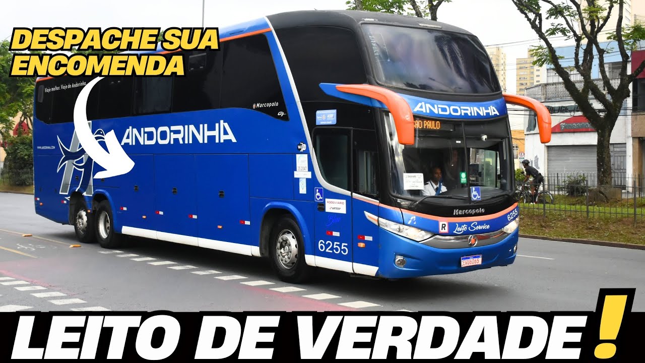 FORA DE SÉRIE?? ÔNIBUS LEITO DE SÃO PAULO PARA CURITIBA COM A ANDORINHA