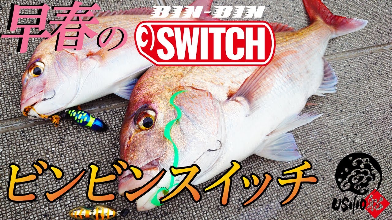 【ビンビンスイッチ】早春の水温が安定しないタフな状況。それでも、ビンビンスイッチがあれば、、、、｜USHIO船　村上祥悟　石川文菜