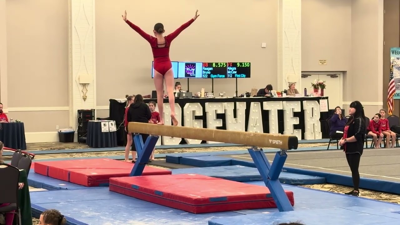 2026 Edgewater Classic - Joy - Beam 8.275