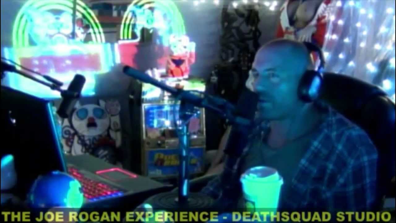 Joe Rogan & David Seaman - Trapwire, Wikileaks, and the NDAA