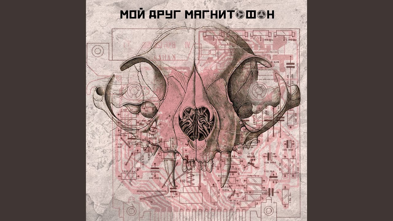 мой друг магнитофон