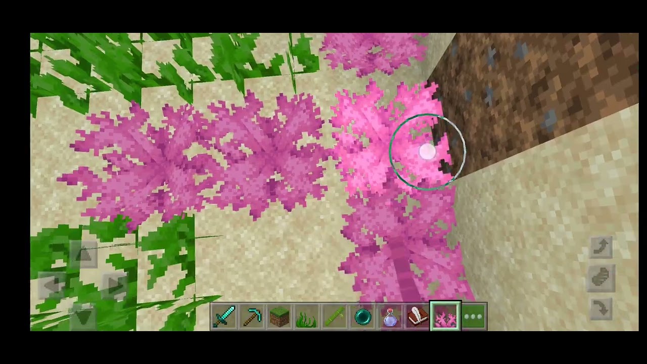 Minecraft video 