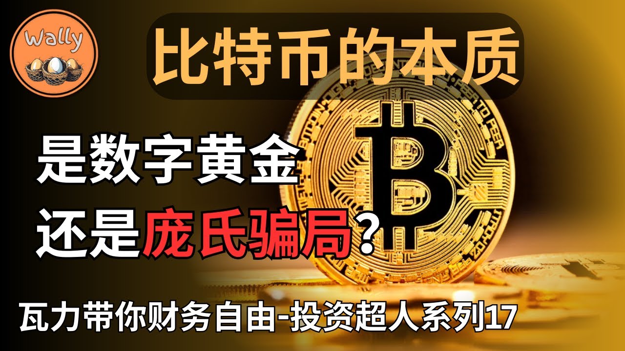 比特币的本质：是数字黄金还是庞氏骗局？| 普通人应该如何投资比特币?