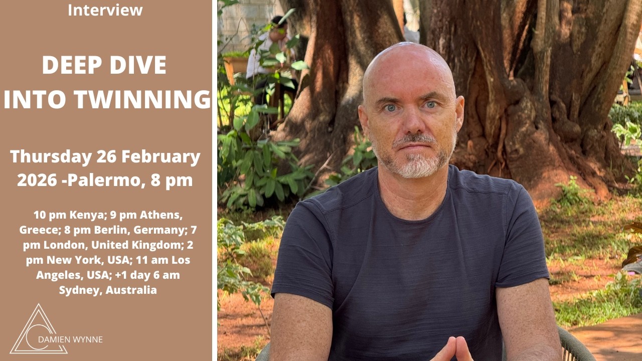 Damien Wynne - FREE INTERVIEW - DEEP DIVE INTO TWINNING