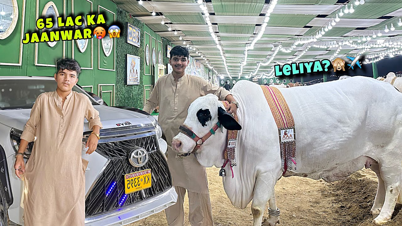Afridi ka 65 lac ka jaanwar 😱| Pasand agaya ❤️ | Mehengi leli?☹️