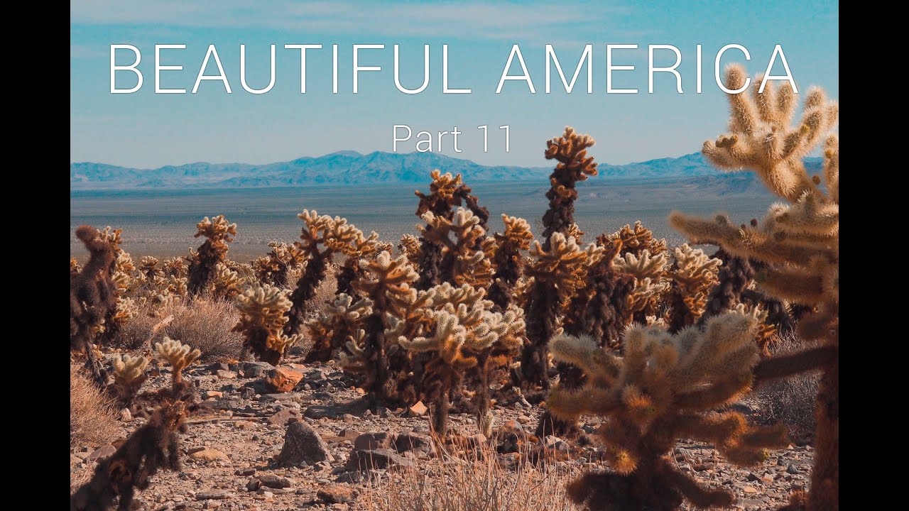 BEAUTIFUL AMERICA - Part 11 - Dumont Dunes, Baker, Joshua Tree, Finale