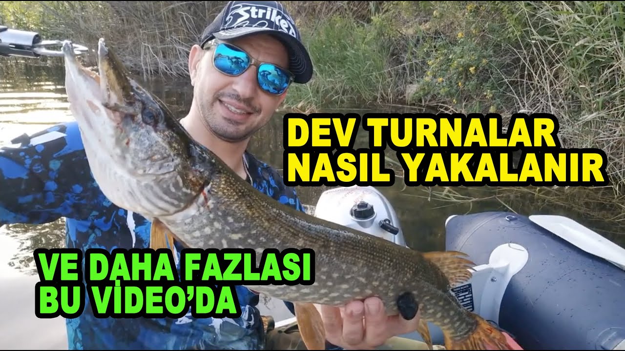 Dev turnalar nasıl yakalanır. ve dahası bu videoda #av #avlak #balık #balıkavı #oltabalıkçılığı