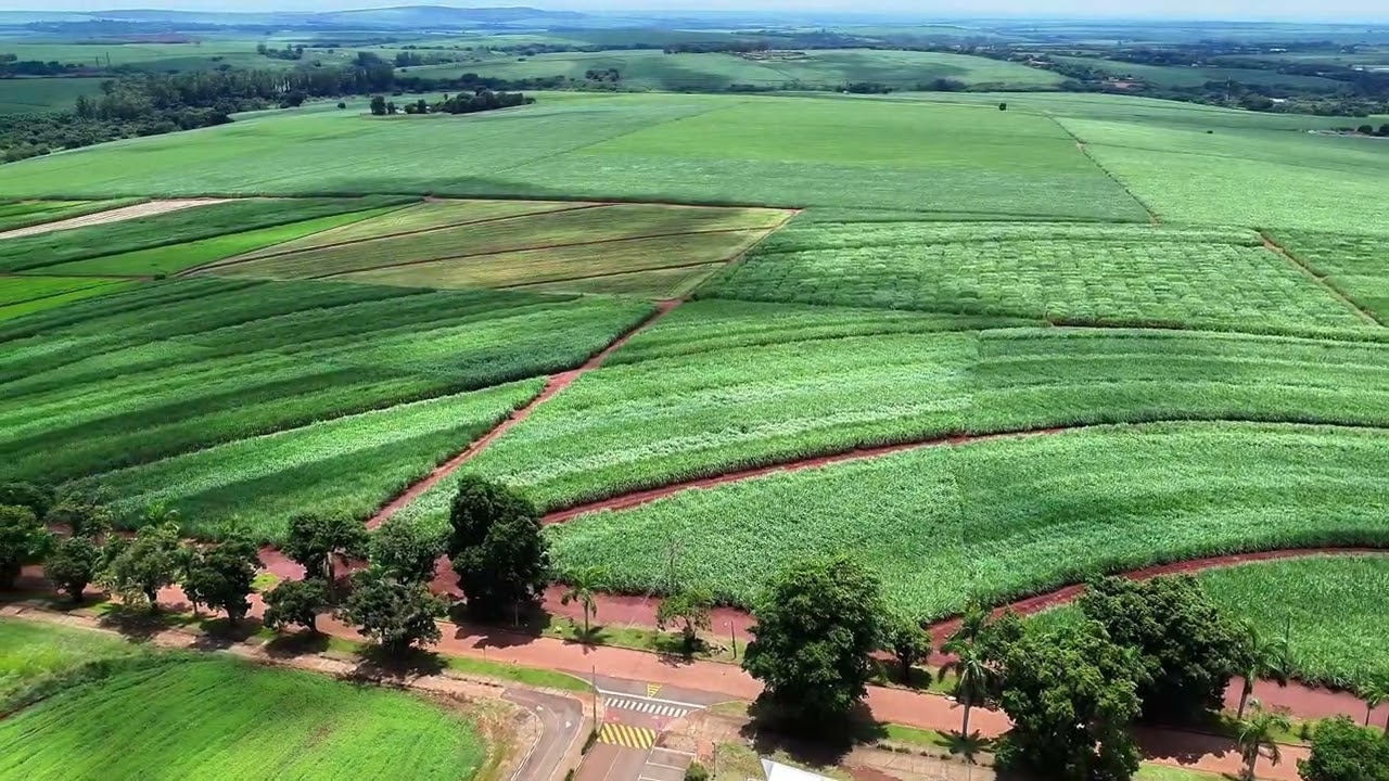 Universidade de S&atilde;o Carlos (UFSCar) em Araras, SP.