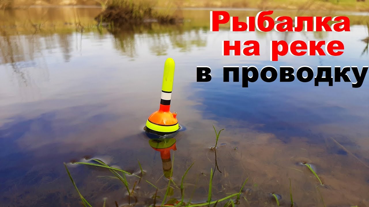 РЫБАЛКА НА ПОПЛАВОК.ЛОВЛЯ НА РЕКЕ В ПРОВОДКУ. КРУПНАЯ ГУСТЕРА на поплавок. Рыбалка 2022