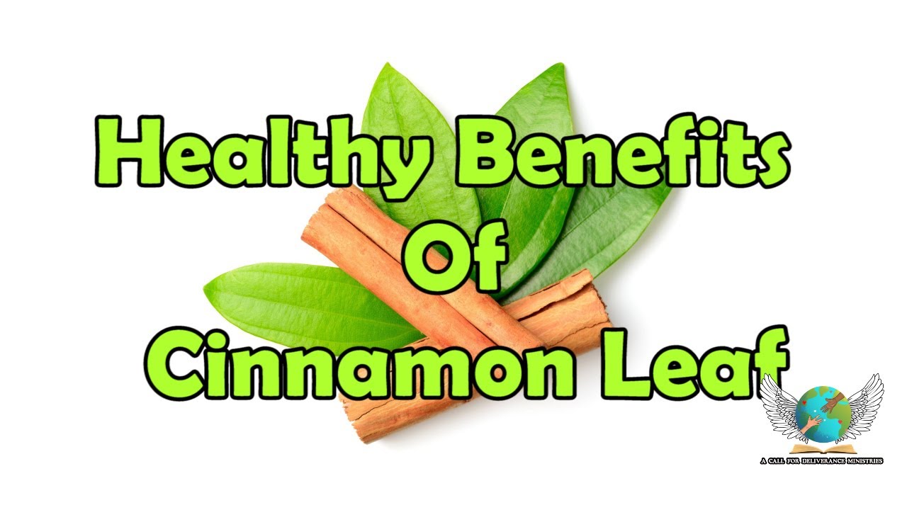 Healthy Benefits Of Cinnamon Leaf