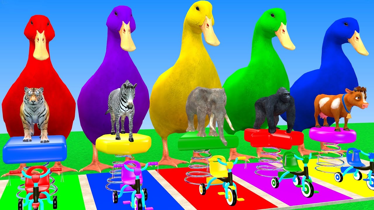 Long Slide Game With Cow Elephant Gorilla Hippopotamus Tiger 3d Animal Game Funny 3d Animals