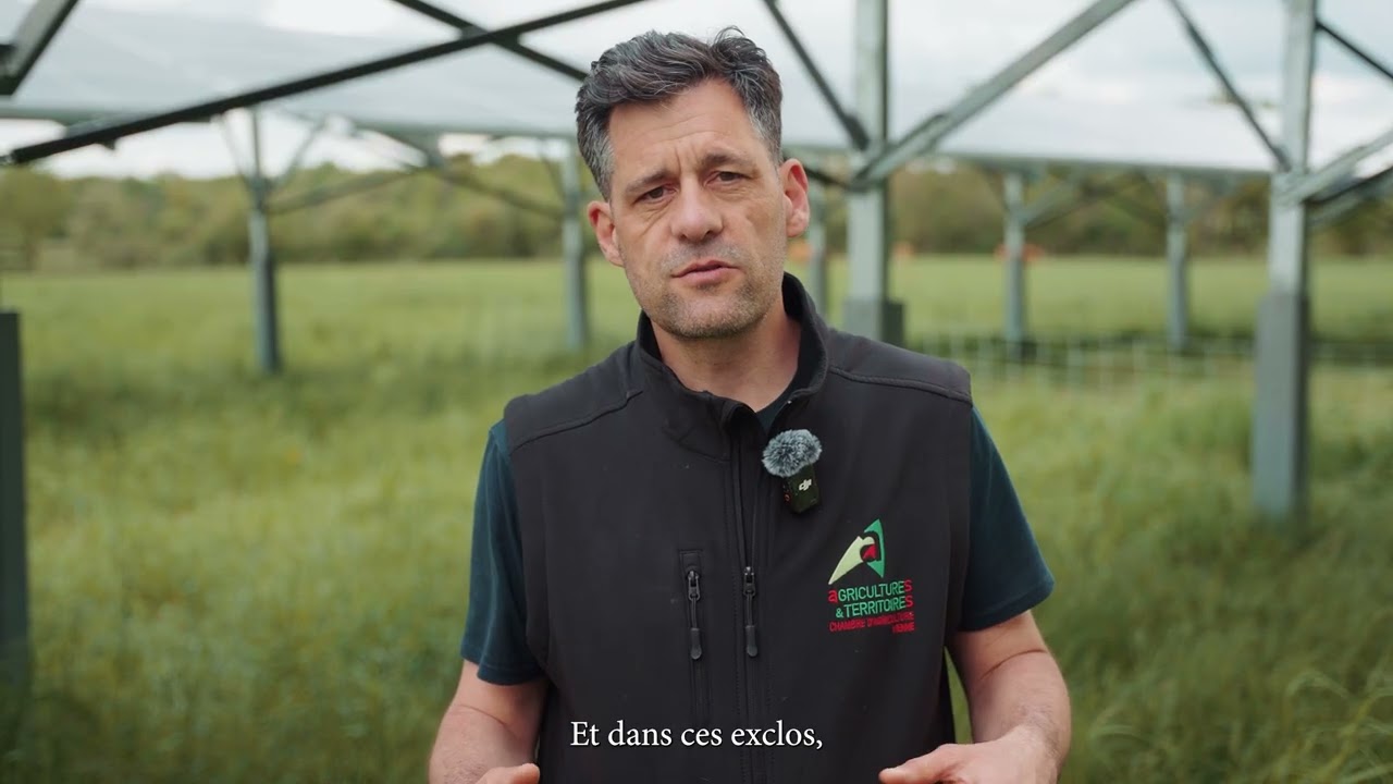 Démonstrateur Agrivoltaïque Bovin Valeco  - Champagné-Saint-Hilaire (86)