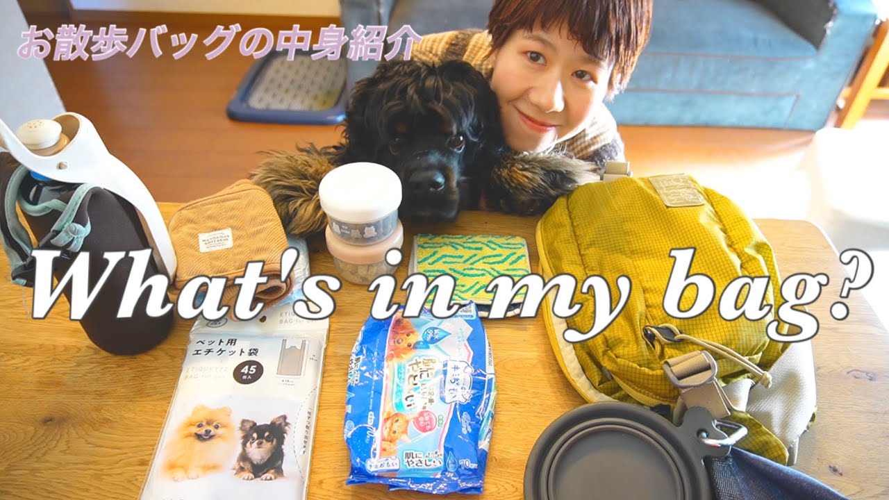 【what's in my bag?】犬初心者さん必見！犬のお散歩バッグ中身紹介！