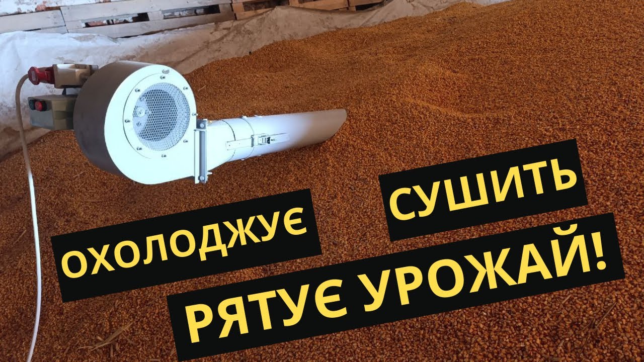 Цей пристрій рятує зерно від псування! 🔥 Зерновий аератор: як зберегти зерно без втрат і цвілі!
