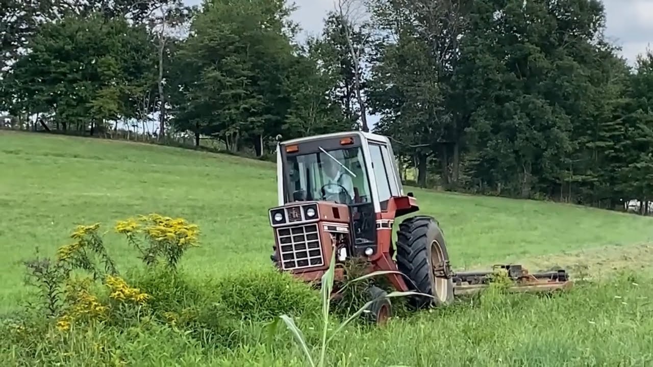 Bush Hogging Very Overgrown Creek with IH 986