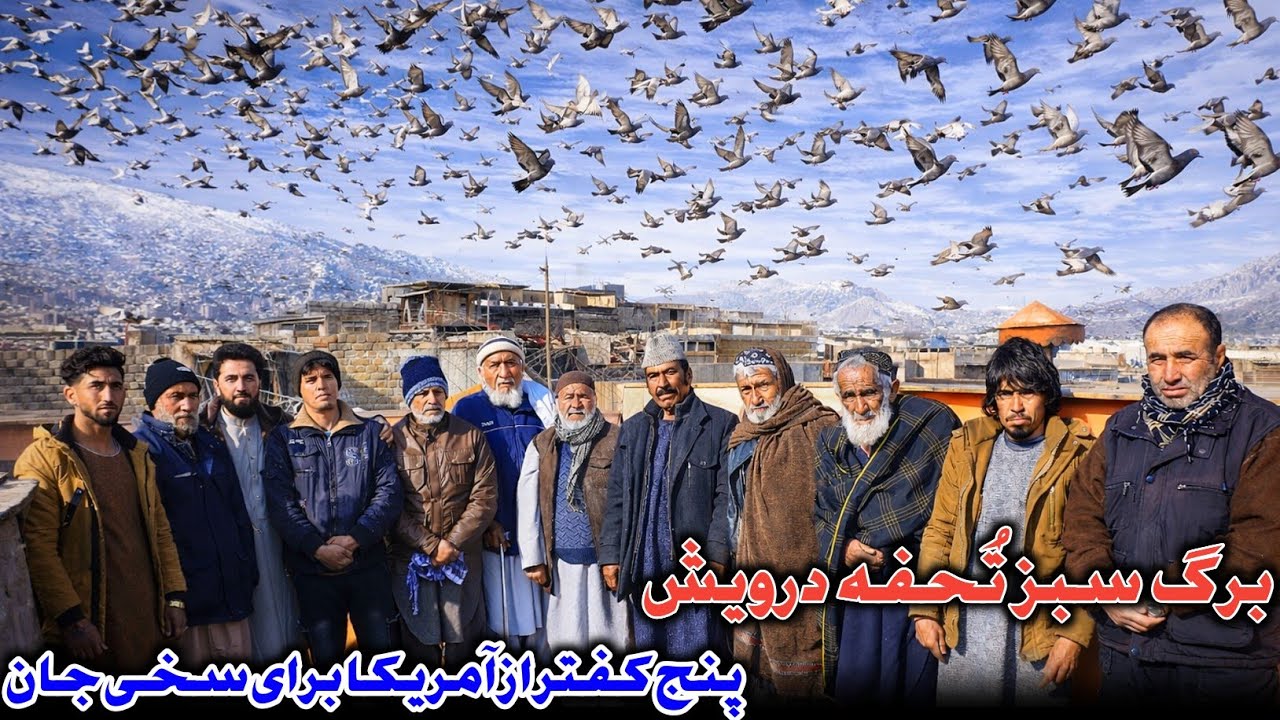 3 شکار | رقابت ماما شاه حسین و کاکا فهيم به خاطر شکارها| برگ سبز تُحفه درویش _ پنج کفتر خاص برای سخی