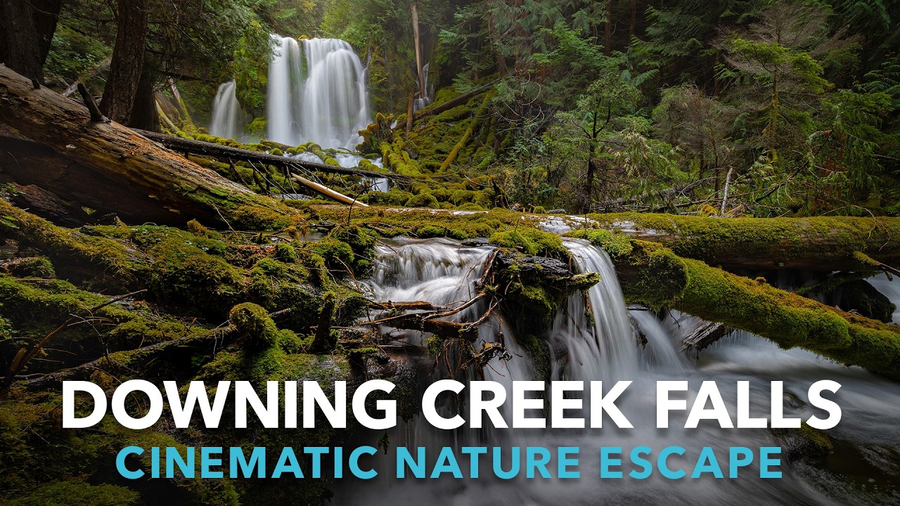 Downing Creek Falls - Relaxing Nature Escape - 4K HDR