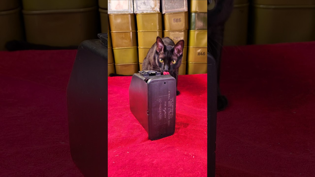 Linking 556 M27 Links