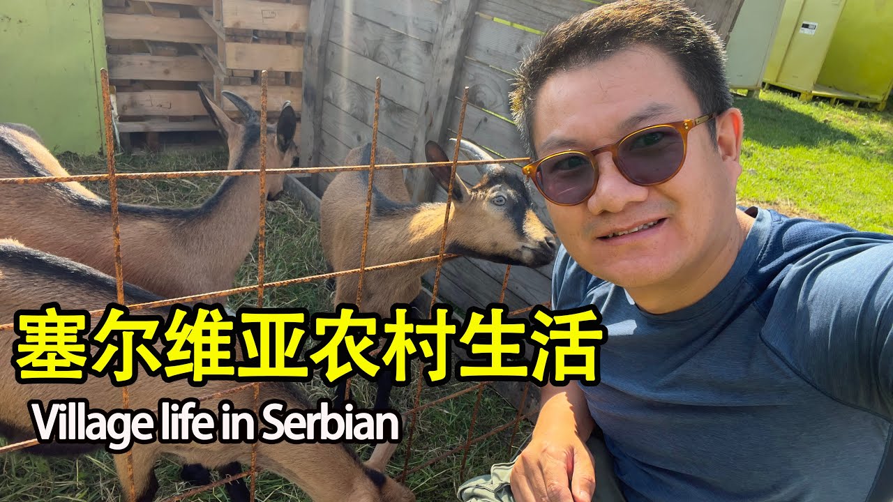 塞尔维亚农村人如何自给自足？真实乡村生活体验，计划开启新旅程【行者沐然/塞尔维亚/海外旅居/环球旅行】