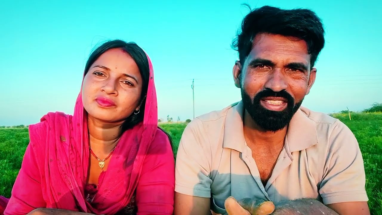 ਜੀਰਾ ਇਕ ਵਿੱਘੇ ਦਾ ਝਾੜ ਕਿੰਨਾ ਨਿਕਲਦਾ ਹੈ ਜੀ ਤੇ ਏਸ ਦੀ ਸੰਭਾਲ ਕਿਵੇਂ ਹੁੰਦੀ ਹੈ ਜੀ Hardwark Kisan 🙏❤️