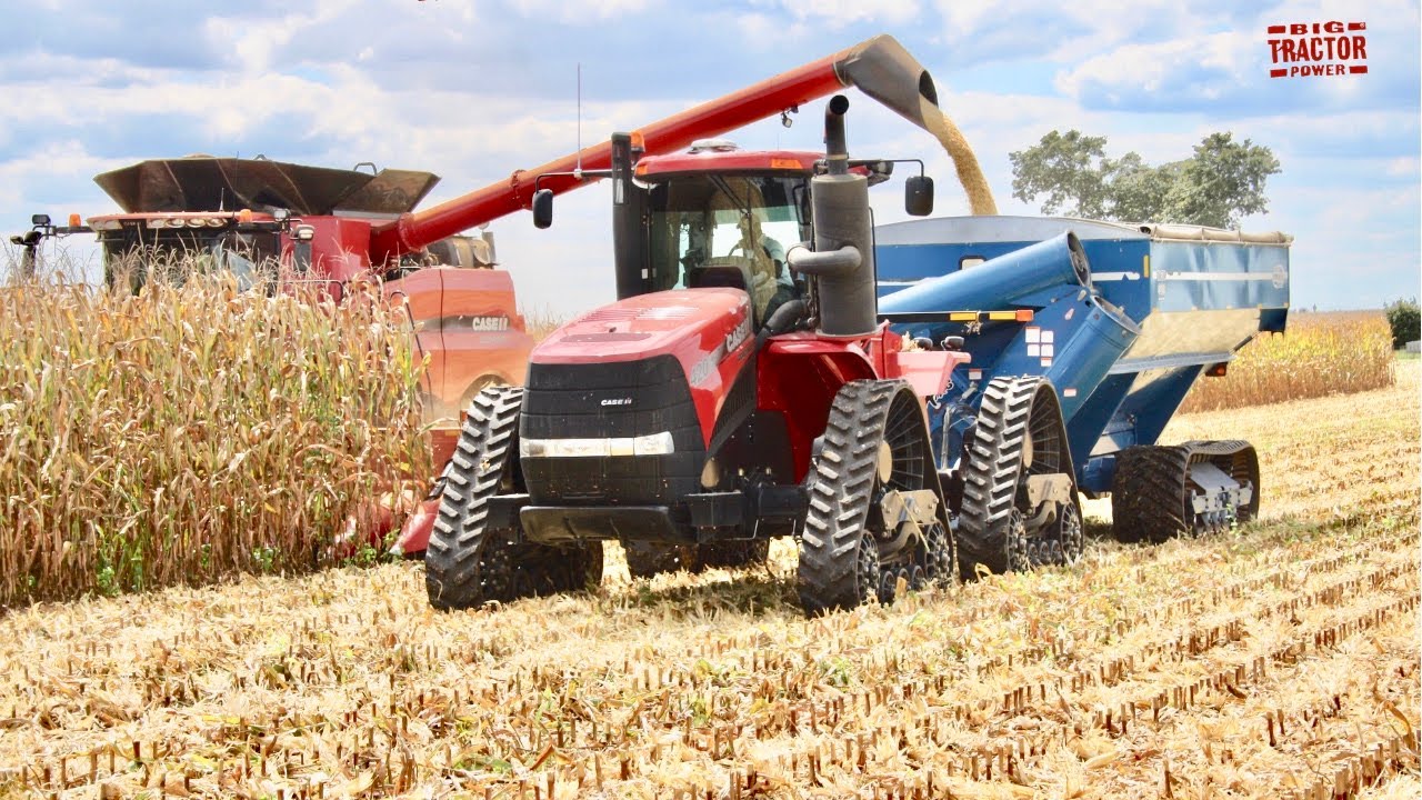 CASE IH Corn Harvest