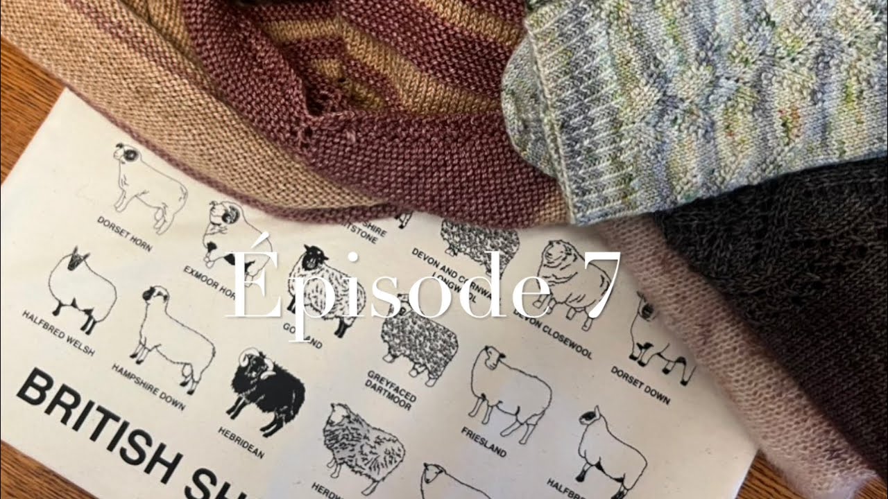 Podcast Tricot - Épisode 7 - Bilan de l'été 2023