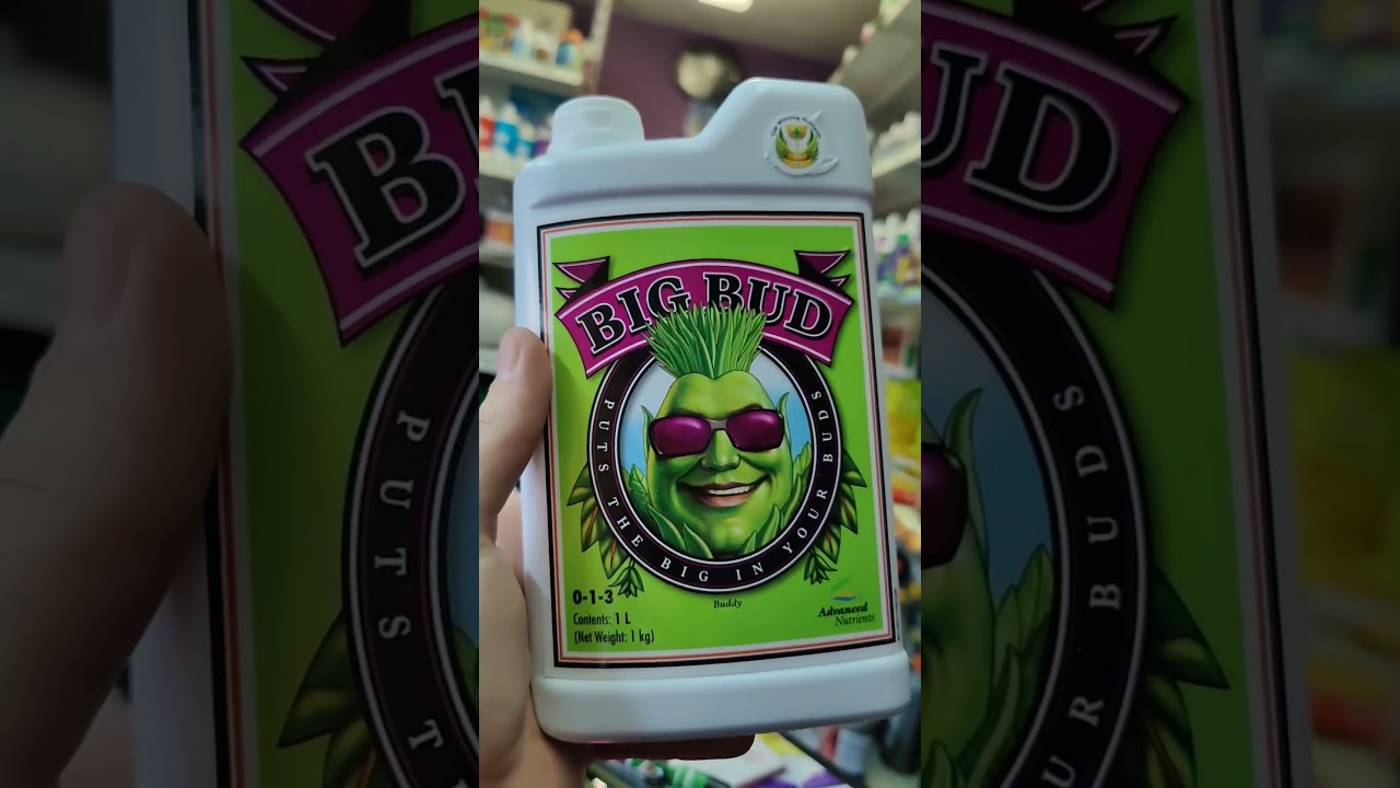 Big Bud Advanced Nutrients, мощнейший стимулятор цветения