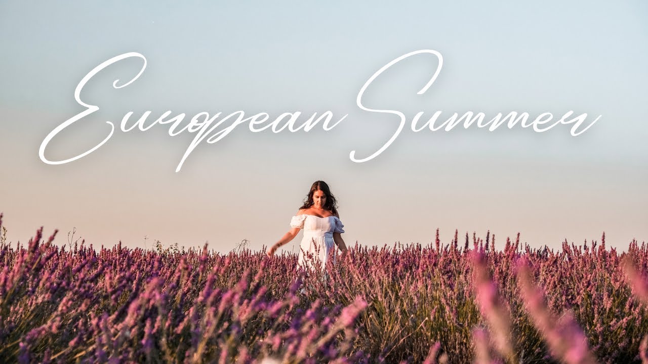 Best Place to see the Lavender Fields in Provence | French Living