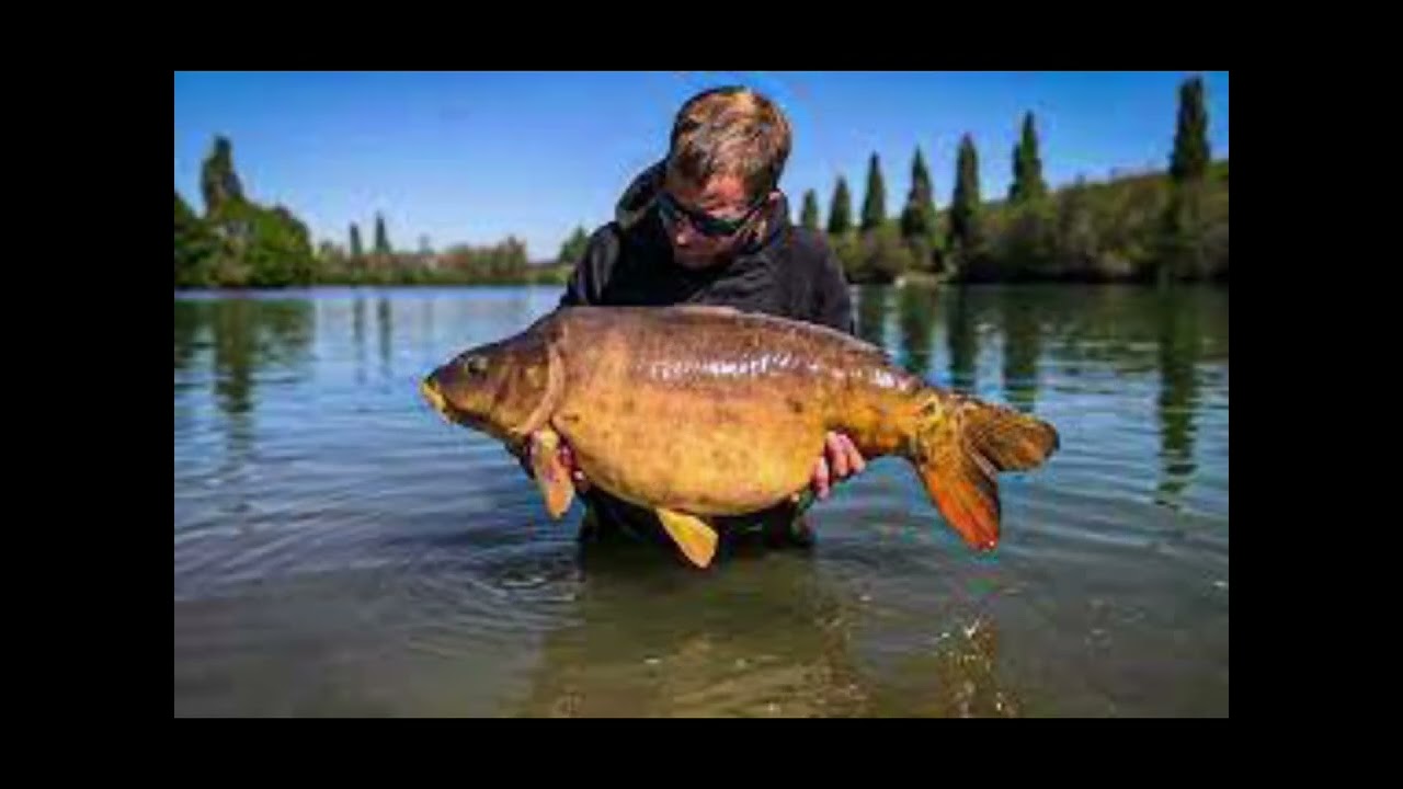 Pêche