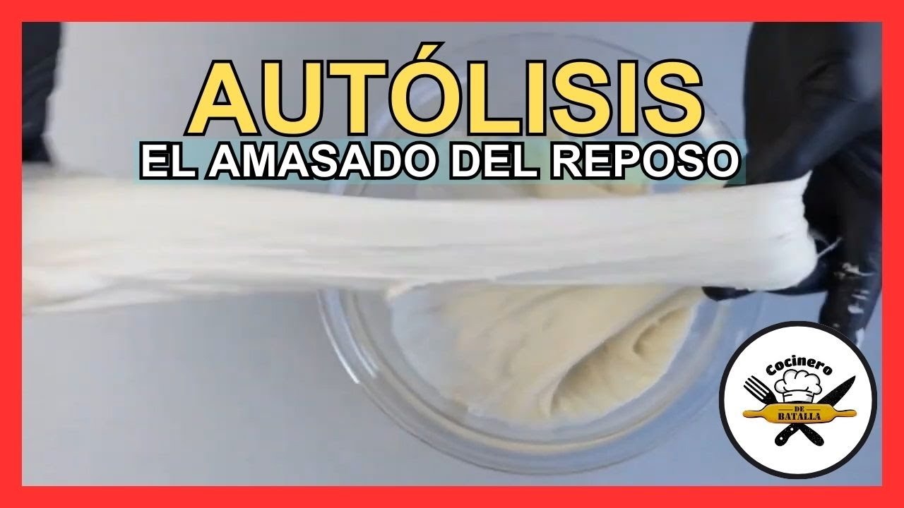 AUTOLISIS