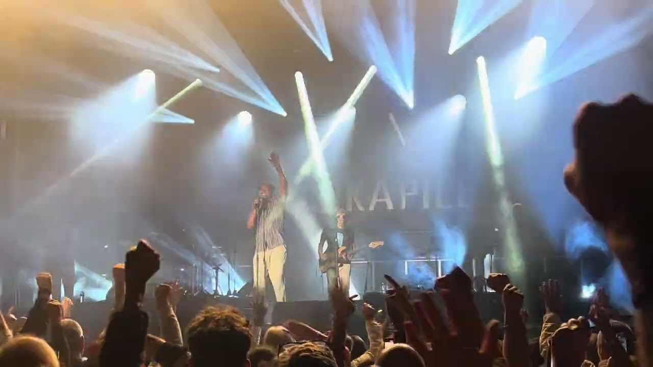 Yannick Noah - Aux Arbres Citoyens - Musikapile 6 juin 2025