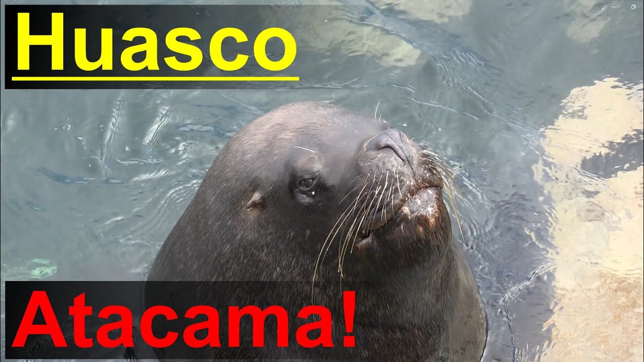 Huasco, Región de Atacama