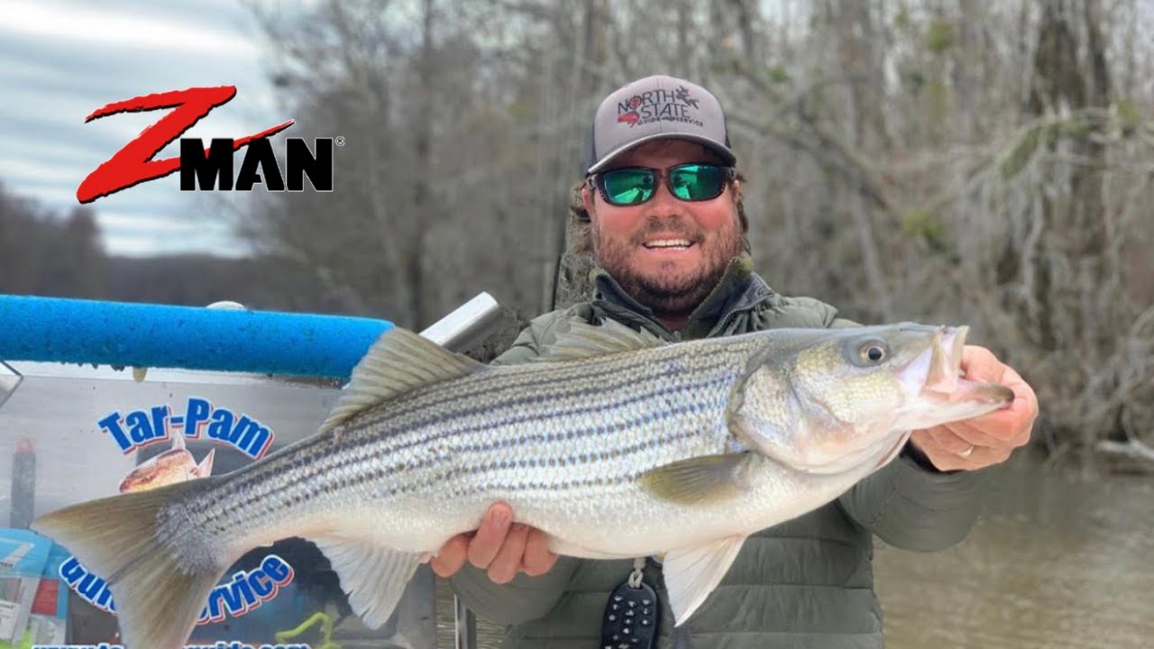 Catching Striper in Coastal Rivers