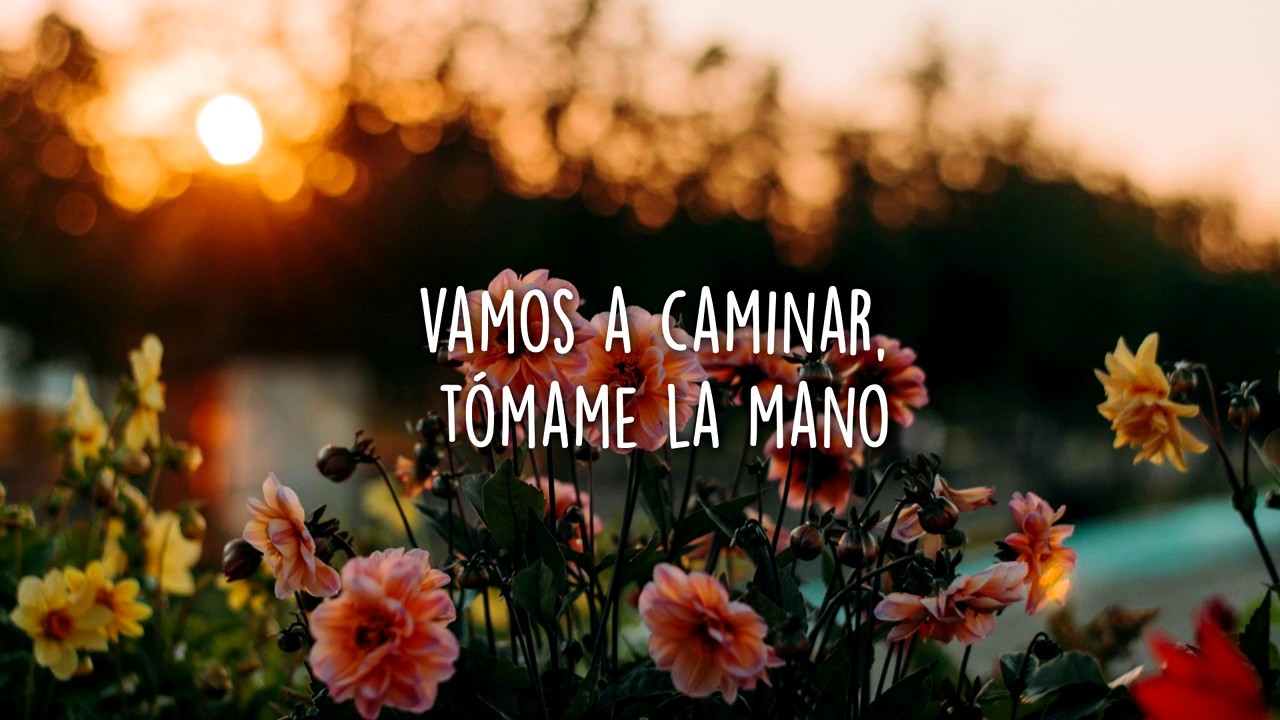 Bonita - Los Claxons (letra)