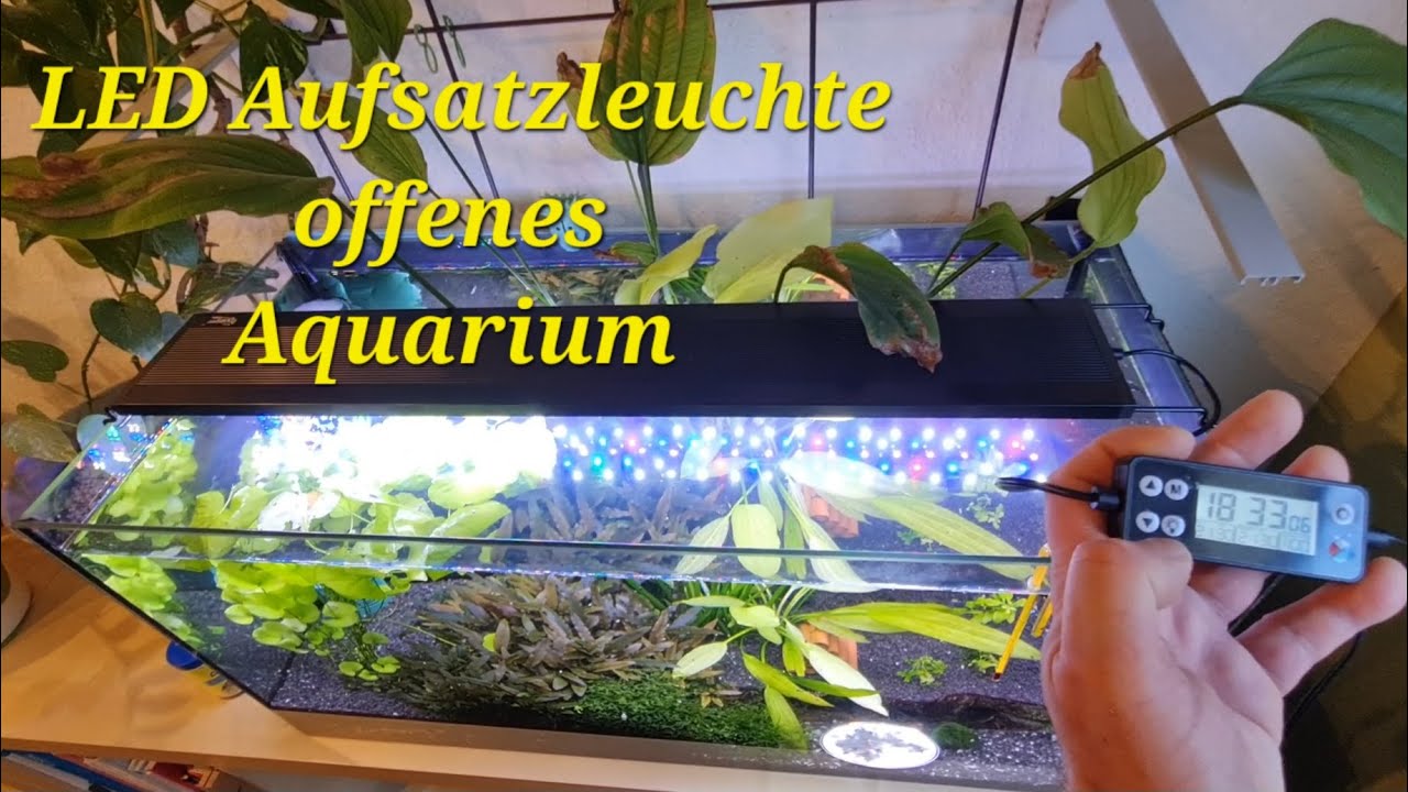 LED Aufsatzleuchte für das offene Aquarium